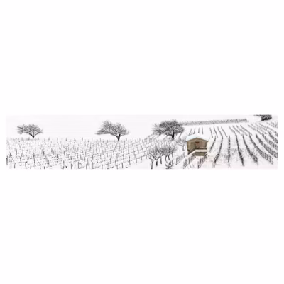 Brise vue imprimé VIGNES SOUS LA NEIGE, H.1 x L.5 m, 100% occultant, Made in France par Scenolia + kit de fixation offert
