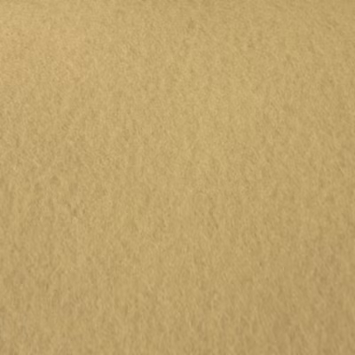 Moquette Stand Expo – Beige – Rouleau de 2m x 14m