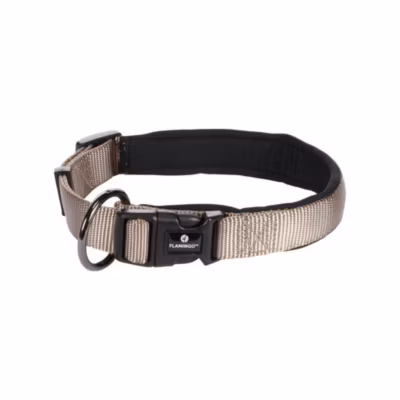 Collier ABBI taupe XXXS 25-30 cm Pour chiens