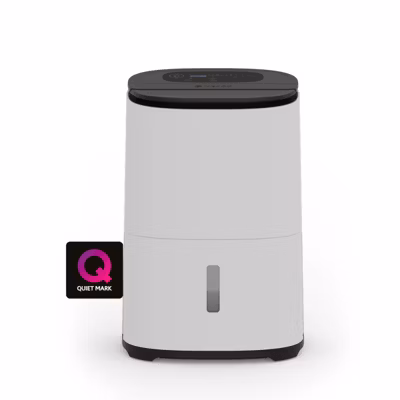 Déshumidificateur purificateur ARETE ONE 20L/j