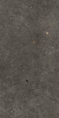 Carrelage Brera Board – Mat 60 x 30cm  ( vendu par boite de  1,26 m² )
