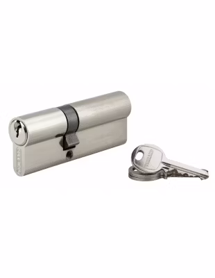 Cylindre de serrure double entrée SA, 35x50mm, anti-arrachement, nickel, vis 45mm, 3 clés – THIRARD