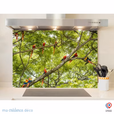 Crédence cuisine fond de hotte Perroquets,-Costa- Lrica x H Alu composite – MaCrédenceDéco