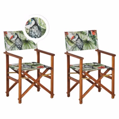 Lot de 2 chaises de jardin CINE Acacia Vert