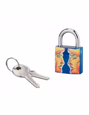 Cadenas à clé Gemeaux, acier, intérieur, anse acier, 30mm, 3 clés – THIRARD