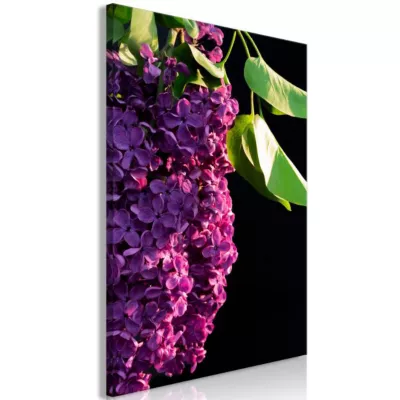 Tableau Fleurs Colours of Spring (1 Part) Vertical 40×60 cm