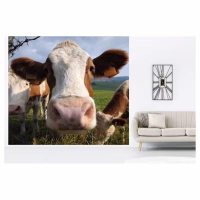 Papier peint intissé OH LA VACHE 300 x 270 cm (LxH) – Tapisserie murale panoramique XXL, Made in France par Scenolia