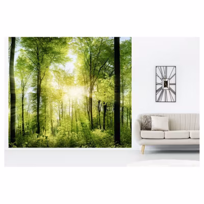 Papier peint intissé SOUS BOIS AU MATIN 300 x 270 cm (LxH) – Tapisserie murale panoramique XXL, Made in France par Scenolia