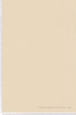 Papier peint vinyle sur intissé Uni L.10.05 x l.0.53 m.  – Réf. AS-399871