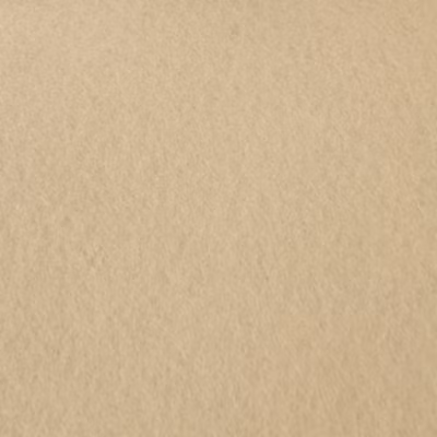 Moquette Stand Expo – Sable – Rouleau de 2m x 26m