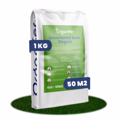Semence de gazon d&rsquo;ornement – Élégant – 1 kg pour 50 m2 – Organifer