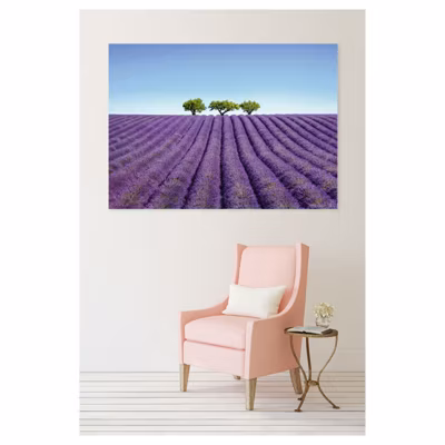 Poster intissé COULEUR LAVANDE 140 x 95 cm – Affiche murale de qualité supérieure