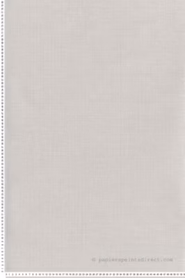 Papier peint vinyle sur intissé Uni L.10.05 x l.0.53 m.  – Réf. MC-MN1002