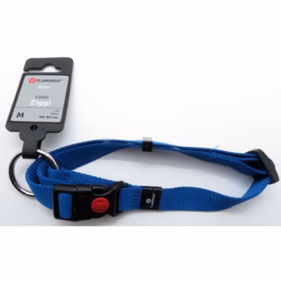 Collier Ziggi bleu 40 -55 cm. 20 MM . taille M. pour chien.