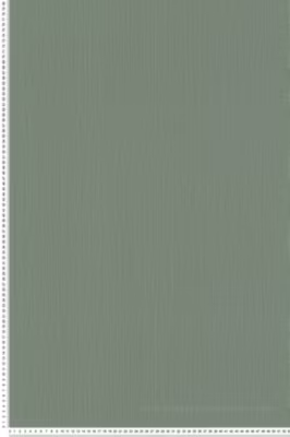 Papier peint vinyle sur intissé Uni L.10.05 x l.0.53 m.  – Réf. AS-399874