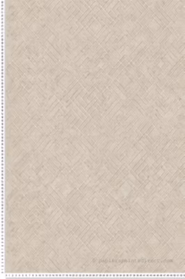 Papier peint vinyle sur intissé Contemporain L.10.05 x l.0.53 m.  – Réf. AS-388282