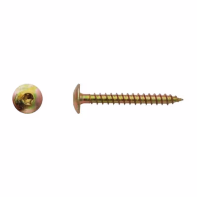 100 Vis Bois pour Penture Torx 6 x 70 mm – Zingué Bichro – D-Work