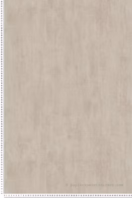 Papier peint vinyle sur intissé Uni L.10.05 x l.0.53 m.  – Réf. LTC-133220307