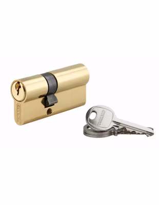 Cylindre de serrure double entrée SA, 25x40mm, anti-arrachement, laiton, 3 clés – THIRARD