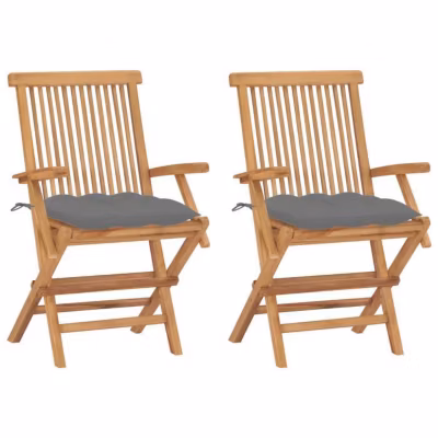 vidaXL Lot de 2 Chaises de Jardin avec Coussins, Sièges de Terrasse, Chaises de Salle à Manger, Meubles de Patio Extérieur, 306250