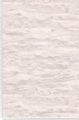 Papier peint vinyle sur intissé Trompe l&rsquo;oeil L.10.05 x l.0.53 m.  – Réf. AS-959083