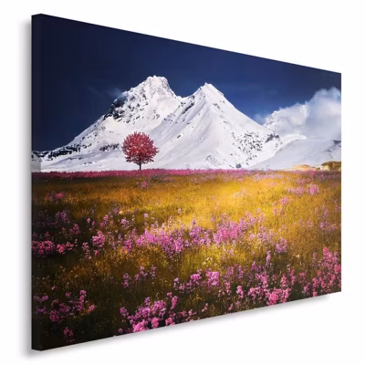Tableau sur toile, Montagne Paysage Nature 90×60 cm