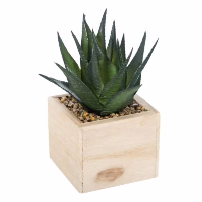 Plante artificielle – H14 cm – Multicolore- Atmosphera
