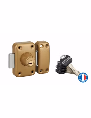 Verrou double entrée Federal pour porte d&rsquo;entrée, cylindre 45mm, acier, 4 clés, époxy noir – THIRARD