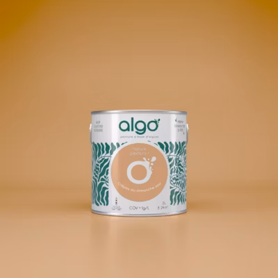 Peinture Algo – Marron Crêpes du Dimanche Soir – 5L – Mat