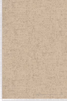 Papier peint expansé sur intissé Uni L.10.05 x l.0.53 m.  – Réf. SP15553