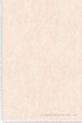 Papier peint vinyle sur intissé Contemporain L.10.05 x l.0.53 m.  – Réf. AS-392233