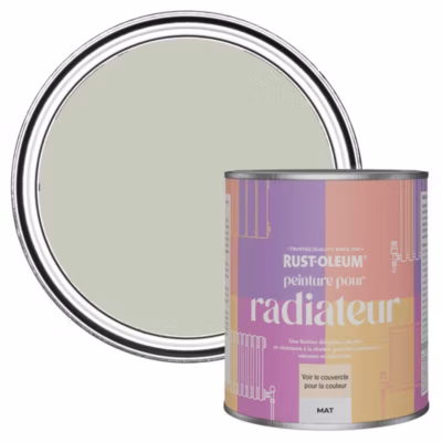 Peinture Verte pour Radiateur, Finition Mate – RUST-OLEUM – Aloé Vera 750ml