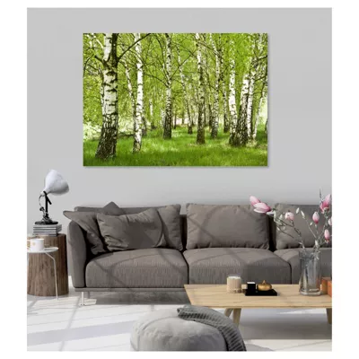 Poster intissé FORET DE BOULEAU 140 x 95 cm – Affiche murale de qualité supérieure