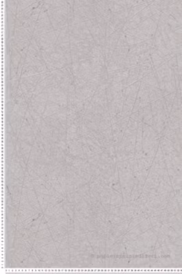 Papier peint vinyle sur intissé Contemporain L.10.05 x l.0.53 m.  – Réf. AS-391772
