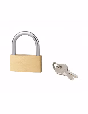 Cadenas BASIC à clé, base 40 mm, anse acier, 2 clés – SP