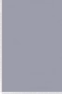 Papier peint expansé sur intissé Uni L.10.05 x l.0.53 m.  – Réf. SP14636