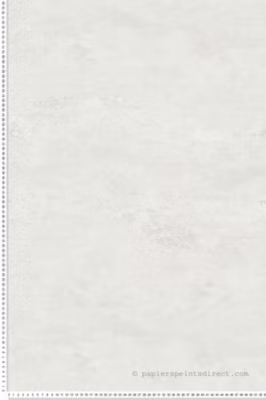 Papier peint vinyle sur intissé Contemporain L.10.05 x l.0.53 m.  – Réf. AS-786566