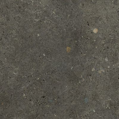 Carrelage Brera R11 : adhérence élevée Board – ADZ 60 x 60cm  ( vendu par boite de  1,44 m² )