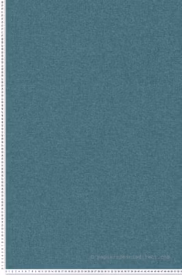 Papier peint expansé sur intissé Uni L.10.05 x l.0.53 m.  – Réf. AS-392169