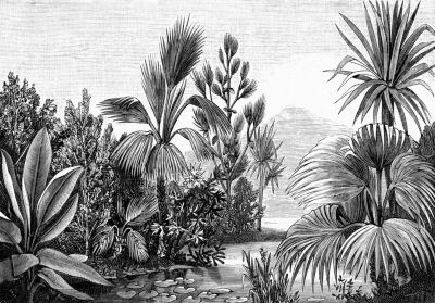 ESTAhome papier peint panoramique paysage tropical noir et blanc 400 x 279 cm