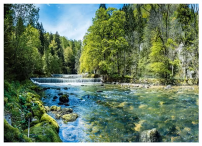 Papier Peint 3D Cascade Nature Vert Forêt Intissé Panoramique 350×250 cm – Colle Inclus – Chambre et Salon – Moderne Papier Peint