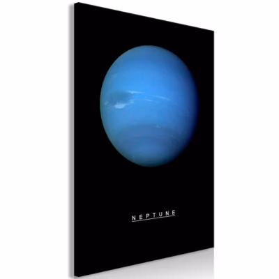 Tableau Neptune (1 Part) Vertical 40×60 cm