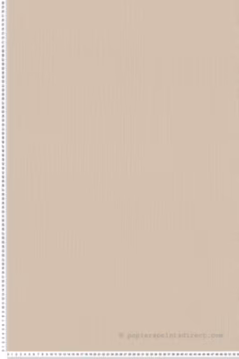 Papier peint vinyle sur intissé Uni L.10.05 x l.0.53 m.  – Réf. AS-399867