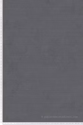 Papier peint vinyle sur intissé Uni L.10.05 x l.0.53 m.  – Réf. LTC-51233129