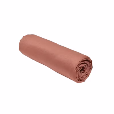Drap housse TODAY Essential – 160 x 200+30 cm – 2 personnes – 100% Coton uni – Terracotta