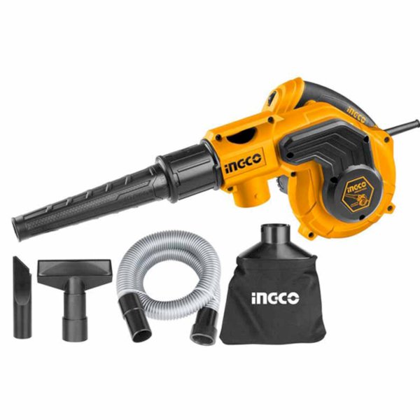Souffleur aspirateur 800W + 4 accessoires