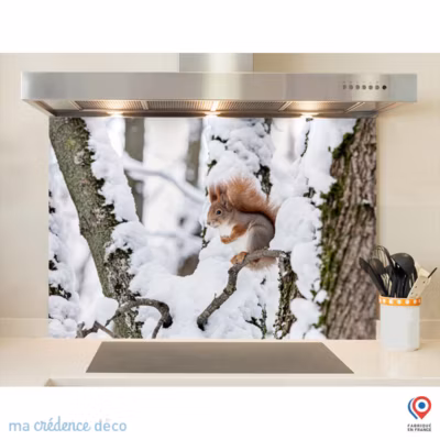 Crédence cuisine fond de hotte Ecureuil sous la neige – Verre trempé – L 90 cm x H 70 cm – MaCrédenceDéco