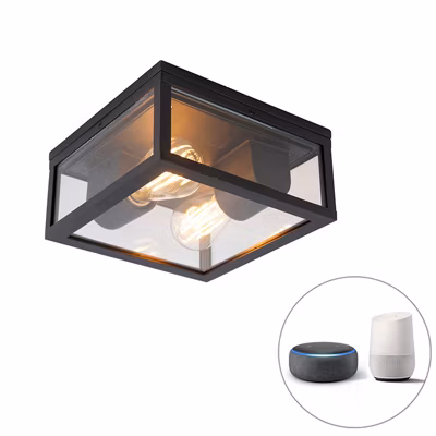 Plafonnier intelligent noir IP44 2 lumières avec Wifi ST64 – Charlois