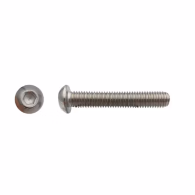 100 Vis Métaux Tête Bombée 6 Pans Creux BHC 12 x 50 mm – 7380-1 – Inox A2 – D-Work