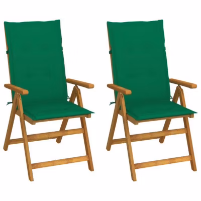 vidaXL Lot de 2 Chaises Inclinables de Jardin avec Coussins, Sièges de Terrasse, Chaises de Salle à Manger, Meubles de Patio 30640